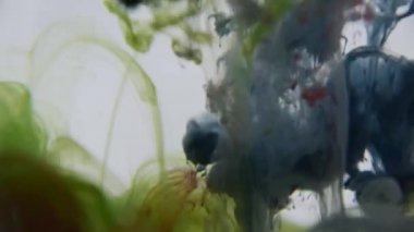 Mavi, kırmızı ve yeşil mürekkep su. Renkli mavi, kırmızı ve yeşil boya yumuşak su altında dönen suya karıştırma yukarıda bırakır. Ağır çekim. 