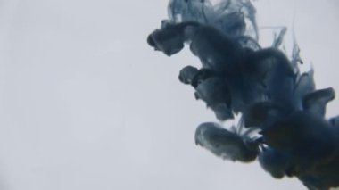 Mavi ve yeşil mürekkep su. Renkli mavi ve yeşil boya yumuşak su altında dönen suya karıştırma yukarıda bırakır. Ağır çekim. 