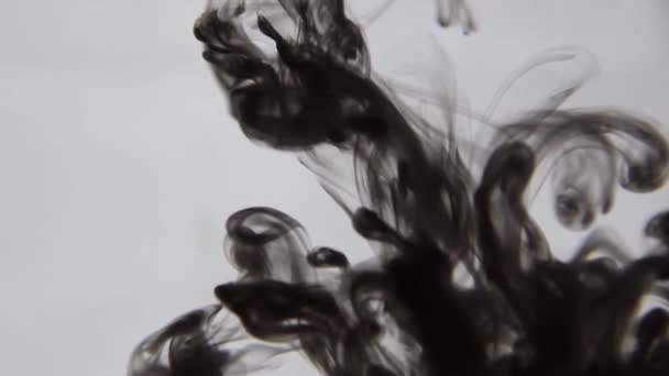Schwarze Tinte Wasser Bunte Schwarze Farbtropfen Von Oben Die Sich — Stockvideo