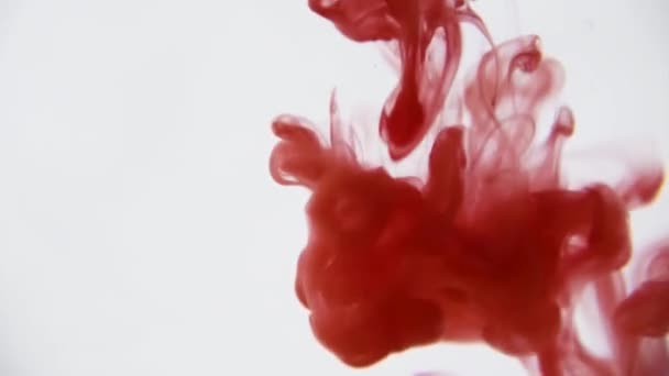 Encre Rouge Dans Eau Peinture Rouge Colorée Tombe Haut Mélangeant — Video