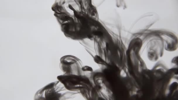 Encre Noire Dans Eau Peinture Noire Colorée Tombe Haut Mélangeant — Video