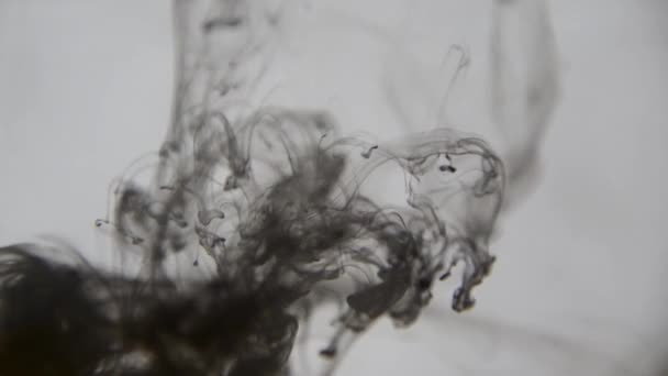 Zwarte Inkt Water Kleurrijke Zwarte Verf Druppels Mixen Water Wervelende — Stockvideo