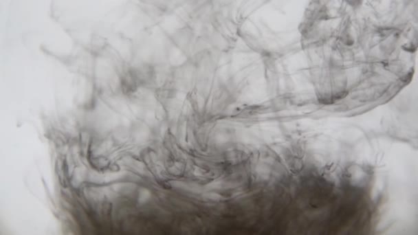 Encre Noire Dans Eau Peinture Noire Colorée Tombe Haut Mélangeant — Video