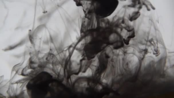 Encre Noire Dans Eau Peinture Noire Colorée Tombe Haut Mélangeant — Video