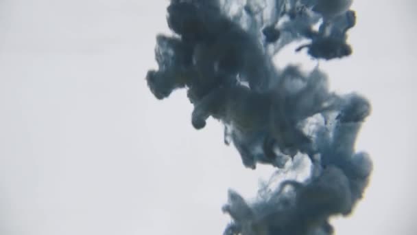 Kék Tintával Vízben Színes Kék Festék Csökken Felülről Keverés Víz — Stock videók