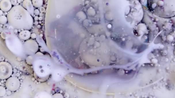 Makro Mor Kırmızı Mavi Beyaz Pembe Gri Renkte — Stok video