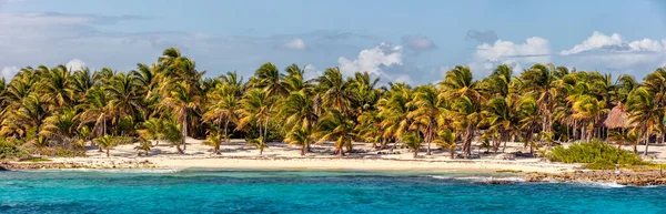 Prachtig Panoramisch Uitzicht Een Strand Mexico Turkoois Water Palmbomen Voorgrond — Stockfoto