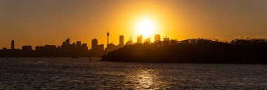 Sydney şehir merkezinin panoramik siluet görüntüsü ve önünde ağaçlar olan bir liman. Güzel turuncu gökyüzü ve güneş arka planda batıyor