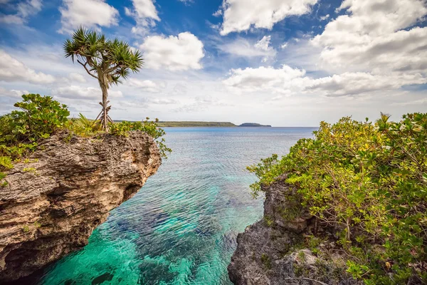 Paysage Pittoresque Avec Seul Arbre Sommet Une Falaise Incurvée Avec — Photo