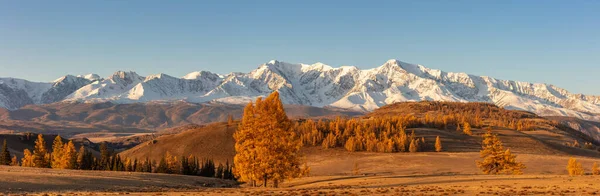 Hermoso Panorama Con Valle Lleno Árboles Dorados Primer Plano Montañas —  Fotos de Stock