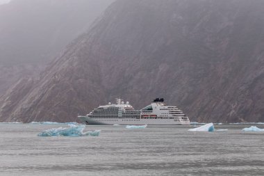 Tracy Arm Fjord, Alaska, ABD - 23 Ağustos 2018: Buzdağları arasında deniz gezisi, arkasında da ABD 'nin Alaska kentindeki Tracy Arm Fjord' da bir dağ