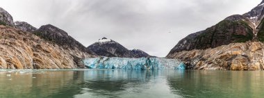 Endicott Arm Buzulu 'nun panoramik görüntüsü Tracy Arm-Fiyords Terör Vahşeti, Alaska
