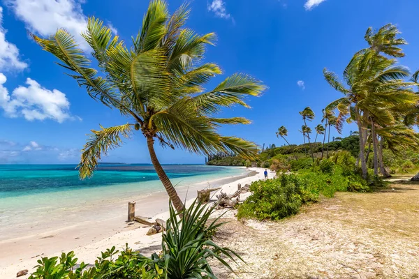 Vista Una Playa Con Palmeras Hermosas Aguas Turquesas Turista Distancia —  Fotos de Stock