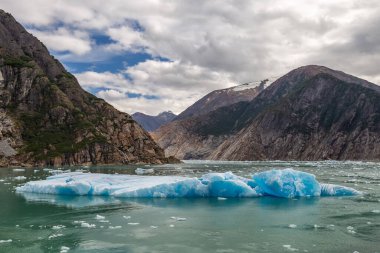 Tracy Arm Fjord, Alaska 'da suda yüzen devasa buz kütleleri.