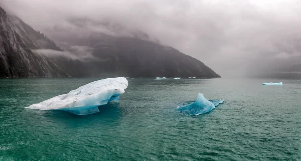 Icebergs Flotando Agua Fiordo Tracy Arm Alaska —  Fotos de Stock