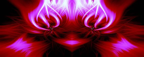 Beautiful Abstract Intertwined Fibers Forming Shape Sparkle Flame Flower Interlinked — Stock Photo, Image