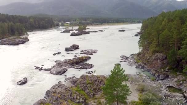 Letecké Video Nad Řekou Katun Horách Altai Rusku Sibiři Dron — Stock video