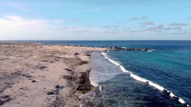 California deniz fenerinin yanındaki Aruba, Hollanda Antilleri 'nde bir sahil şeridi ve dalgaların insansız hava aracı görüntüsü. Uzakta Rocky plajı ve mavi bulutlu gökyüzü. Suyun üzerinde süzülen kamera görüntüsü.
