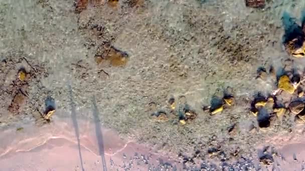 Drohnen Aus Der Luft Über Der Küste Von Aruba Wellen — Stockvideo