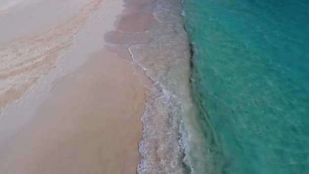 Αεροφωτογραφία Από Drone Που Γλιστράει Πάνω Από Την Αμμώδη Παραλία — Αρχείο Βίντεο