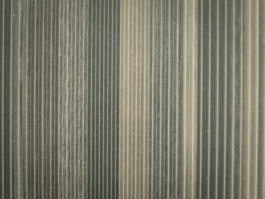 ahşap doku arkaplanı