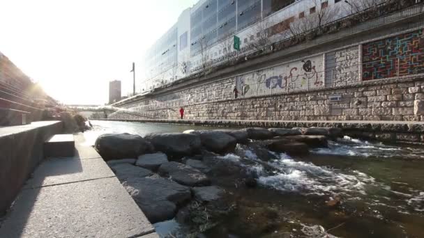 Cheonggyecheon Akışı Seoul Güney Kore — Stok video