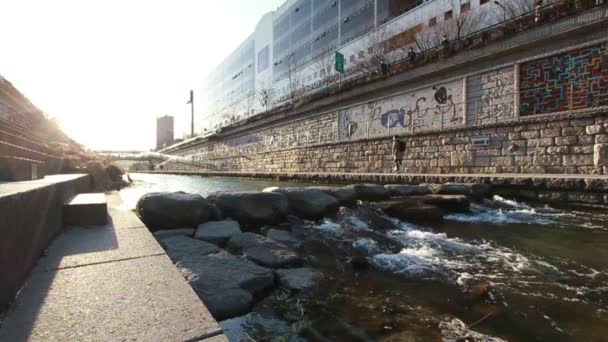 Cheonggyecheon Akışı Seoul Güney Kore — Stok video