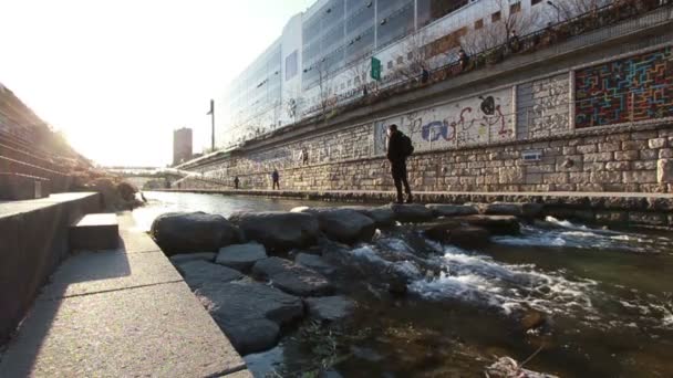 Yavaş Hareket Seul Cheonggyecheon Traveler Güney Kore — Stok video