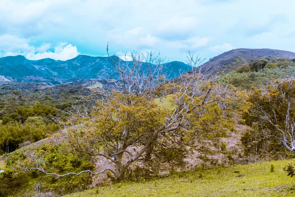 Hermoso Sunset Sobre Los Campos Montañas Colombia — Foto de Stock