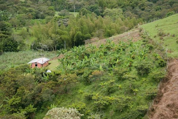 美丽的风景的乡村和哥伦比亚山 — 图库照片