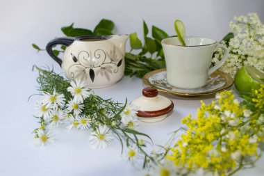 Şifalı otlar Ann Lemon tarafından çevrili de aromatik su ile