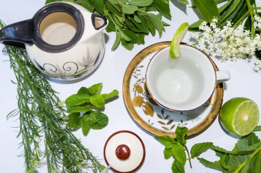 Şifalı otlar Ann Lemon tarafından çevrili de aromatik su ile