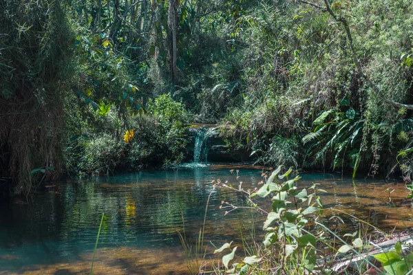 Lago Paisaje Agua Limpieza Cristal Medio Del Jungle — Foto de Stock