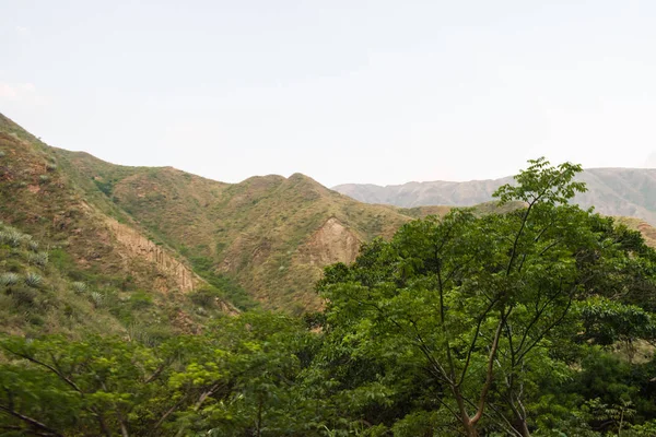 Ландшафт горных массивов, окружающих каньон Чикамоча в Коломбии с зеленым вегетацией и деревьями — стоковое фото