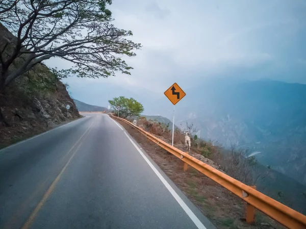 HOTOGRAPHS DENGAN SANGAT VINTAGE DARI LANDSCAPE OF THE CHICAMOCHA CANYON DAN THE ROAD BAHWA CROSSES IT IN COLOMBIA Stok Gambar