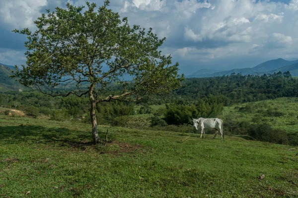 Landschaft der kolumbianischen Berge — Stockfoto