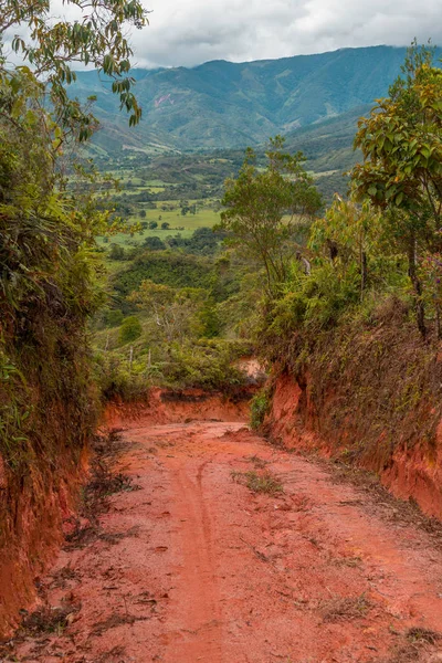 Estrada no meio da montanha — Fotografia de Stock
