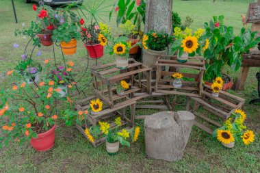 kır bahçe ayçiçekleri ile dekore