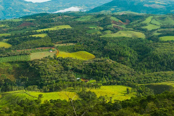 KOLOMBIAN LANDSCAPE Stok Lukisan  