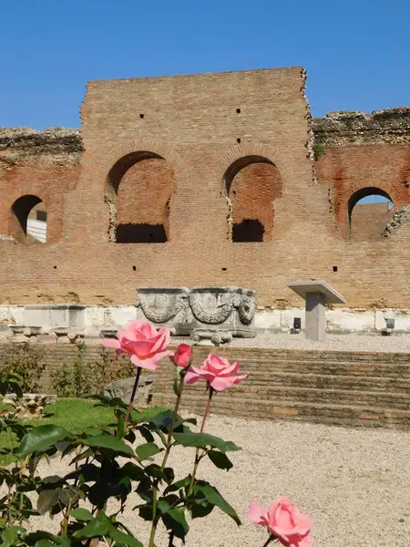 October 2018 Patra Greece Pink Roses Garden Ancient Roman Odeon — Stock Photo, Image