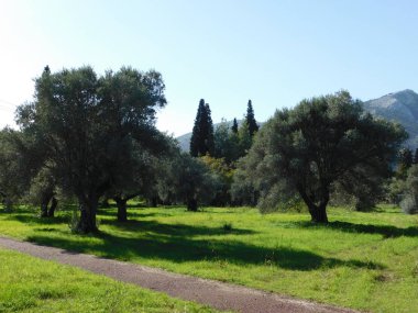 Kasım 2018, maraton, Yunanistan. 490 M.ö. ile ünlü Savaşı savaş görünümünü