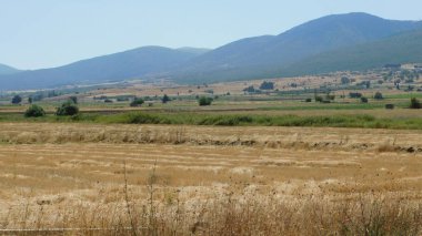 Yunanlıların Persleri yendiği M.Ö. 479'daki ünlü Plataea Savaşı'nın savaş alanının görünümü, Yunanistan'ın Boeotia kentinde