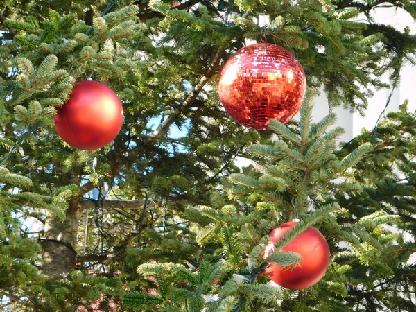 Boules de décoration d'arbre de Noël — Photo