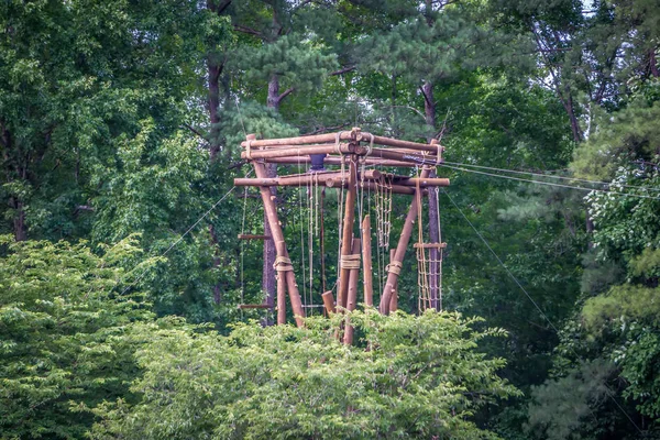 木制绳索攀登塔在森林里消遣 — 图库照片
