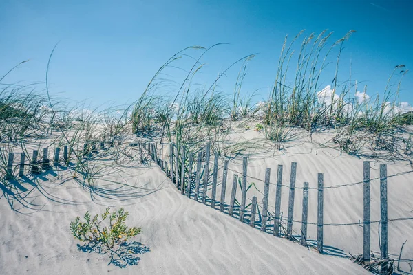 Met Gras Begroeide Winderige Zandduinen Het Strand — Stockfoto