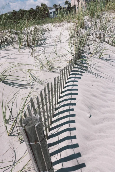 Locura Playa Charleston Sur Carolina Atlántico Océano —  Fotos de Stock
