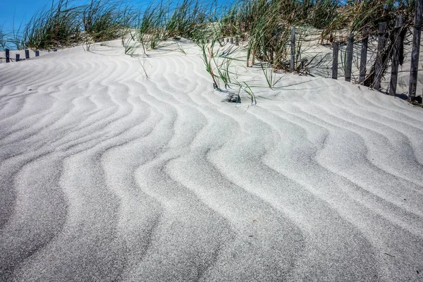 Dune Sabbia Erbosa Ventosa Sulla Spiaggia — Foto Stock