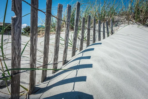 Трав Янисті Вітряні Піщані Дюни Пляжі — стокове фото