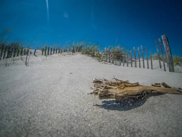 Trawiaste Piaszczysta Plaża Pikietem Ogrodzenia Folly Plaży Charleston — Zdjęcie stockowe