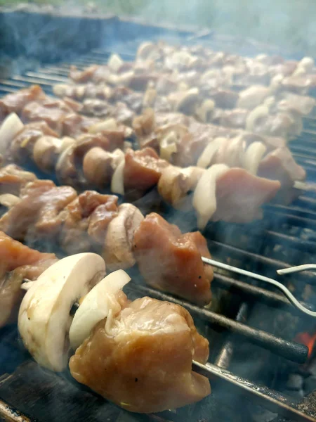 Veggetables와 Shish Kabab — 스톡 사진